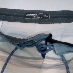 O'Neill Cruzer Striped Board Shorts - Blue and Gray